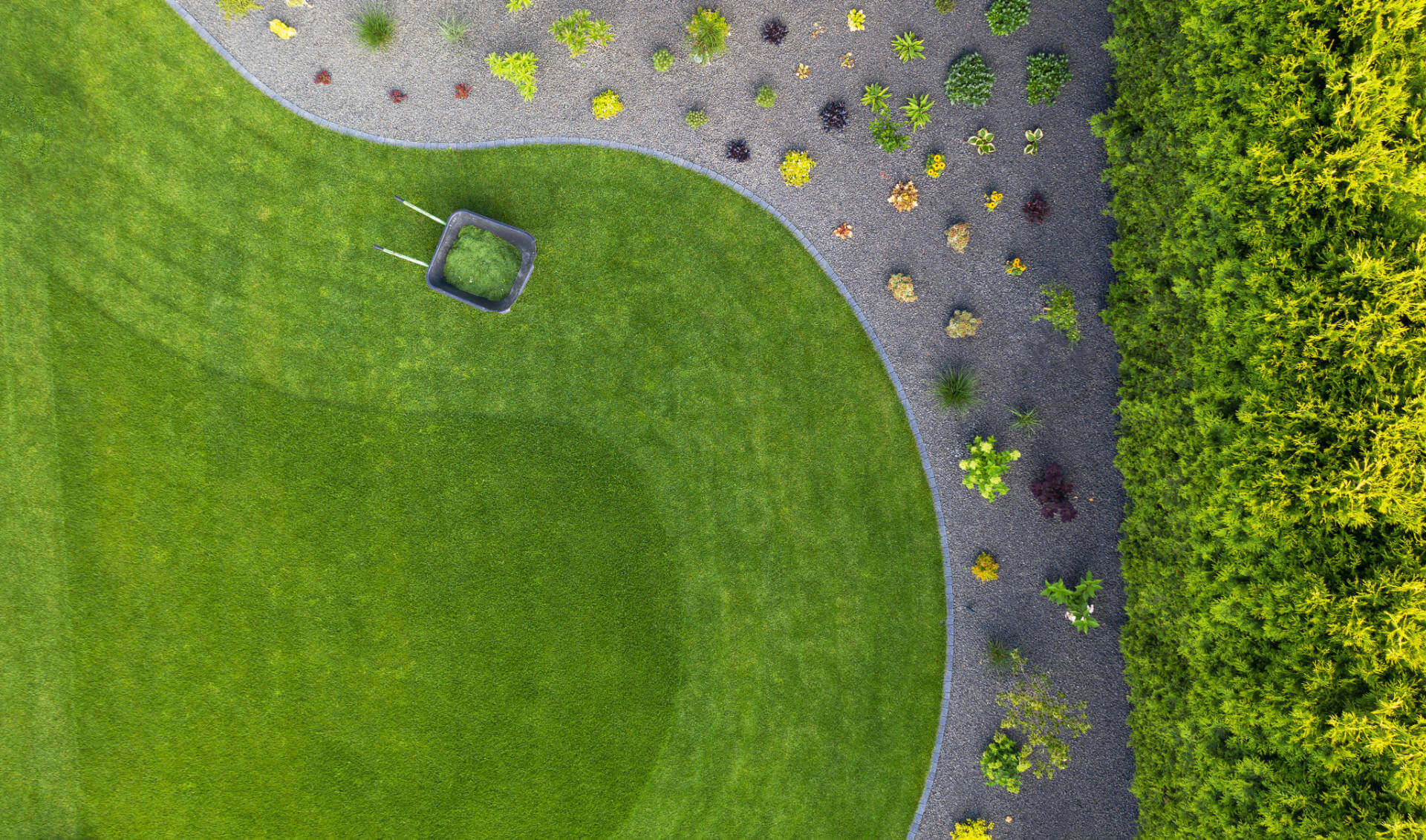 Taking Car Of Residential Backyard Lawn